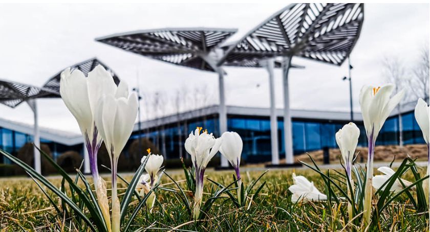 Galeria Północna na Białołęce ma nowe wyposażenie.