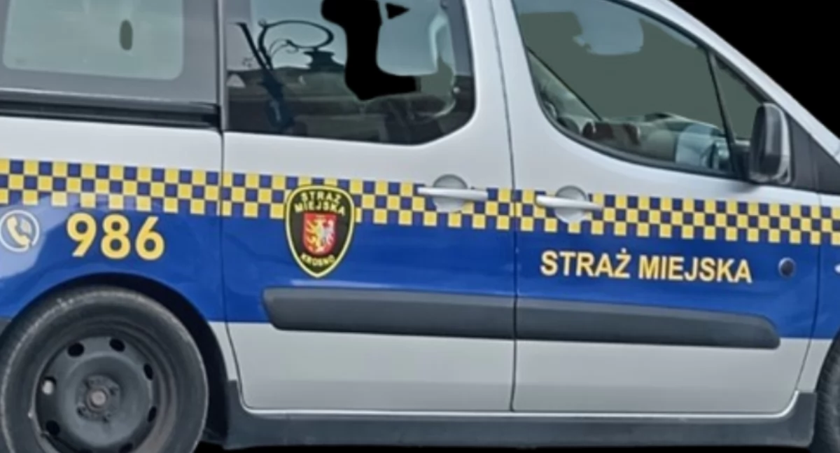 Działania Służb, Interwencja Białołęce pierwsza niestety - zdjęcie, fotografia