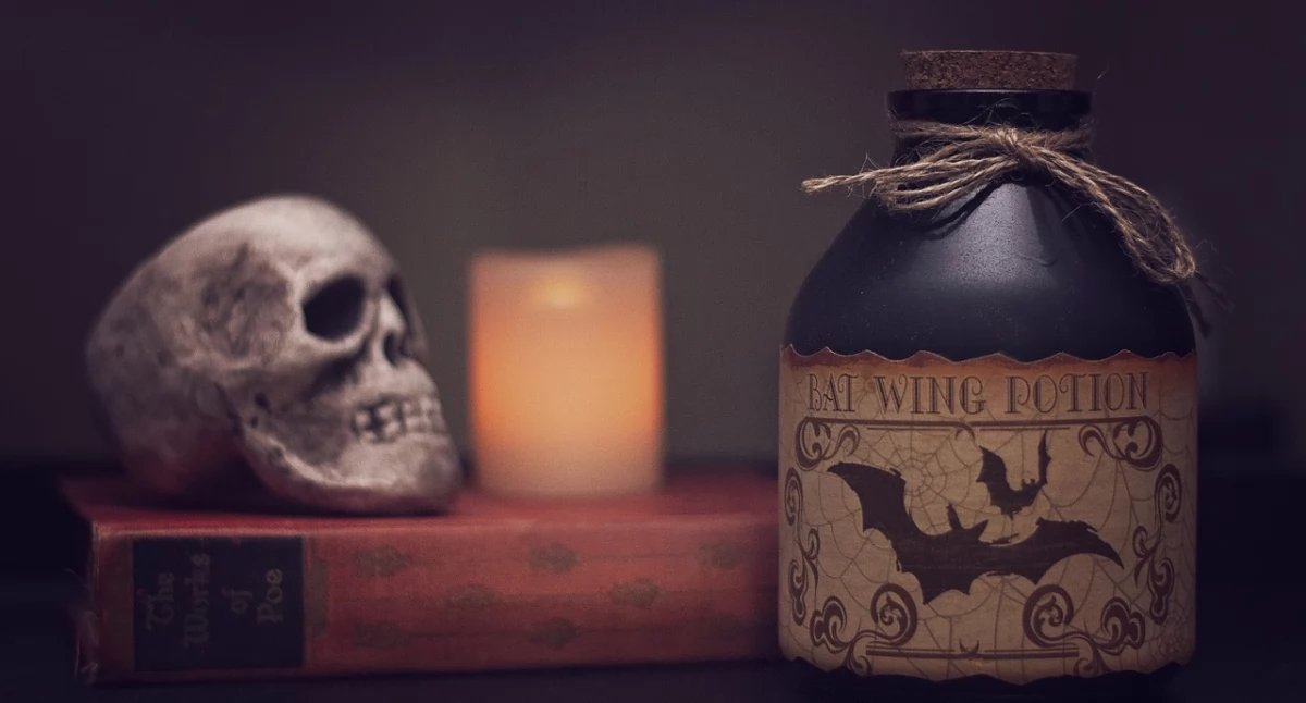 Społeczne, Galeria Północna zaprasza wspólne Halloween! - zdjęcie, fotografia