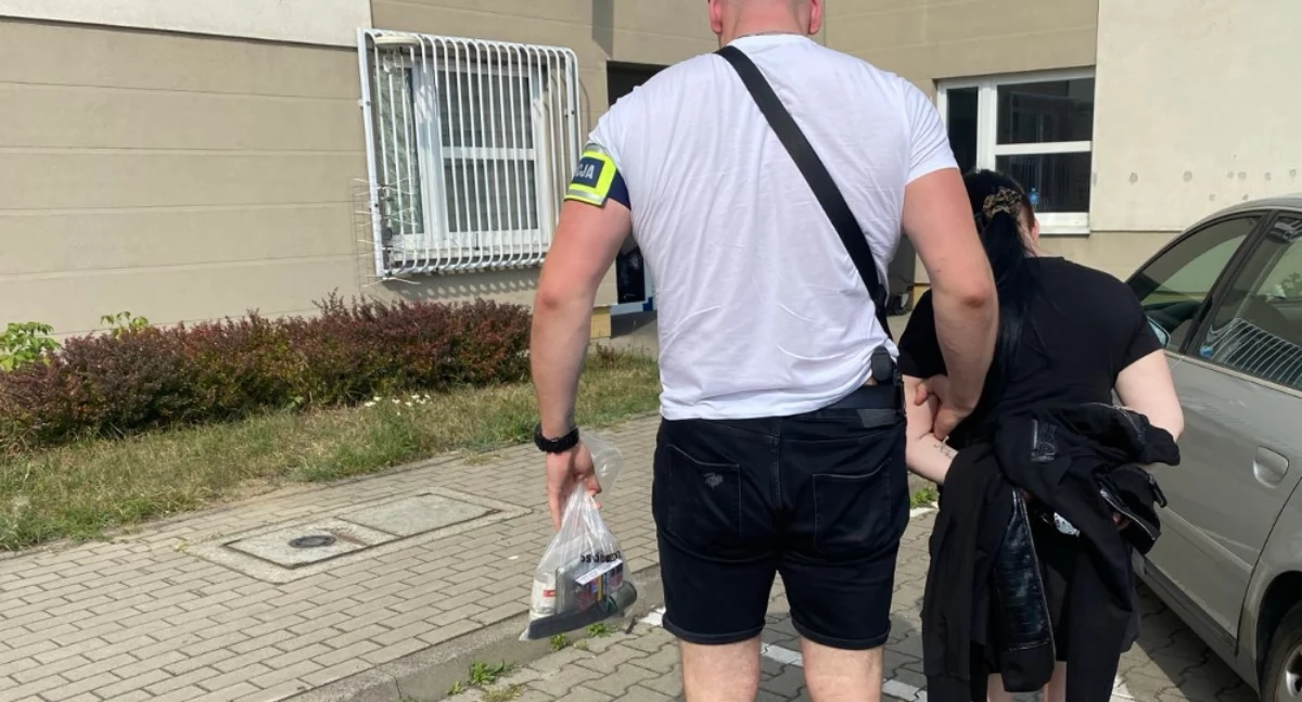 Działania Służb, Zatrzymanie przesłuchanie końcu zarzuty Akcja Pradze Północ - zdjęcie, fotografia