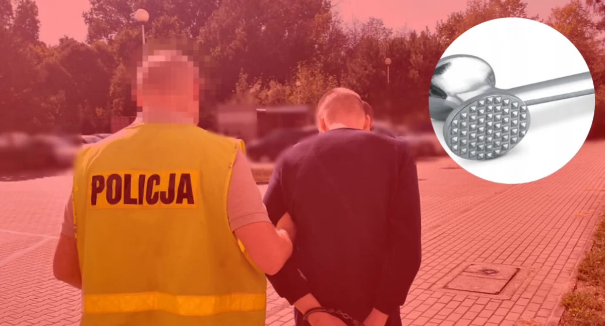 Działania Służb, Koszmar minionej Pradze Północ! - zdjęcie, fotografia
