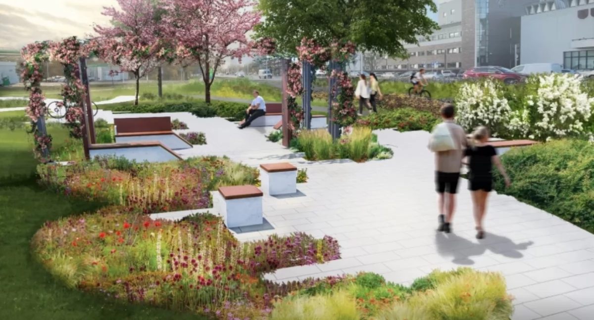 Zieleń, skwer Białołęce JESTEŚMY Wiemy wyglądać - zdjęcie, fotografia