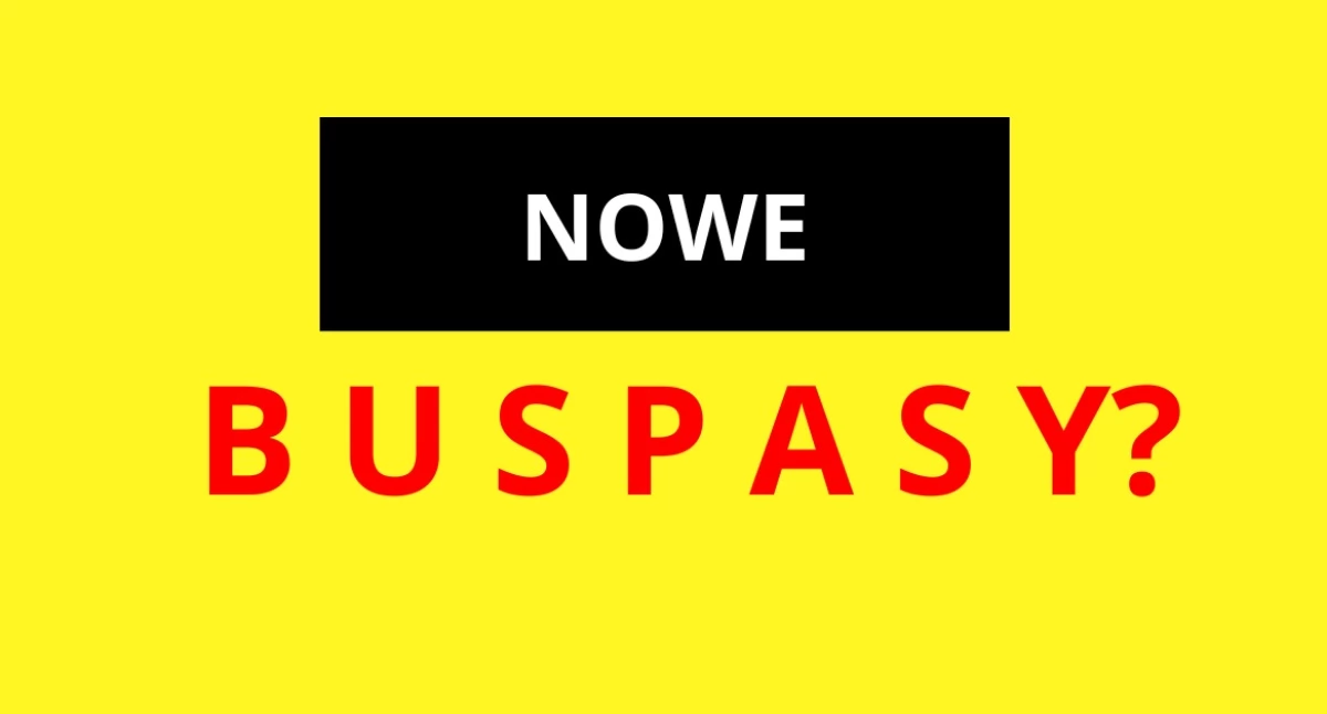 Drogi, Linia tylko) nowymi buspasami Radny podzielił nowiną - zdjęcie, fotografia