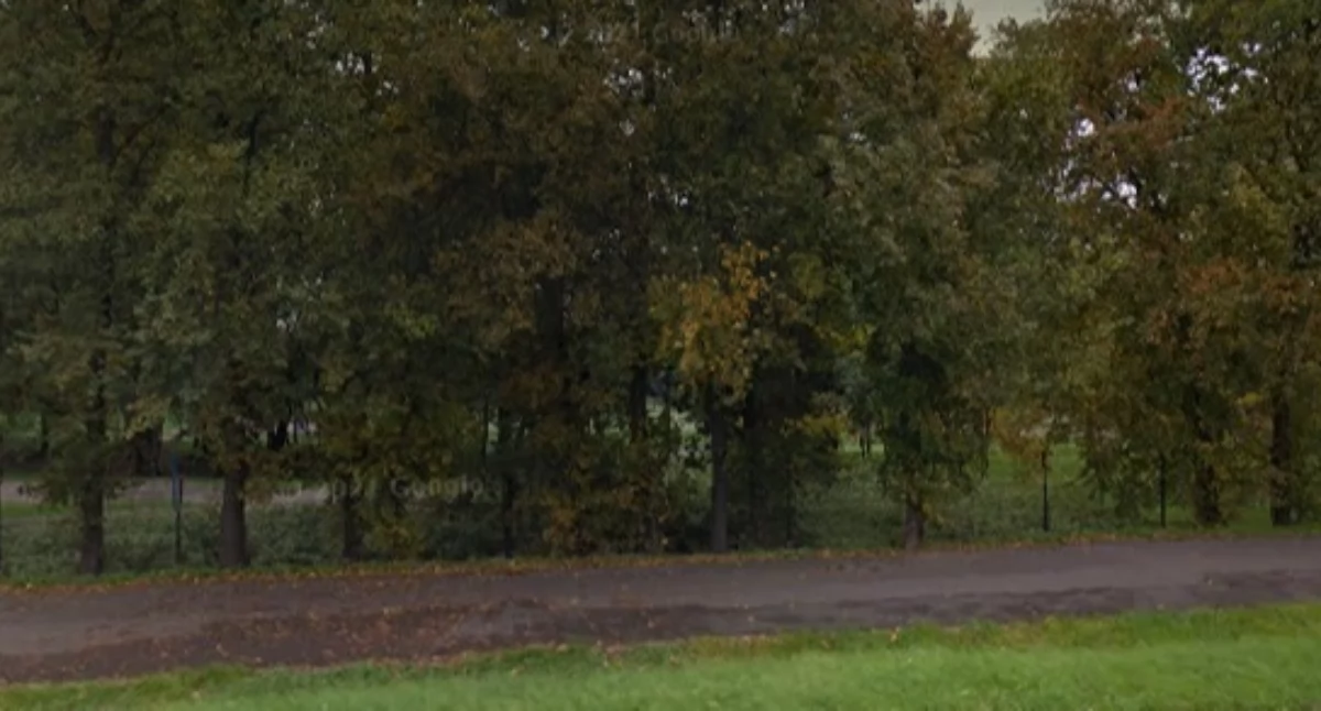 Zieleń, Gdzie najlepiej spacerować Białołęce MIEJSCA KLASYCZNE - zdjęcie, fotografia