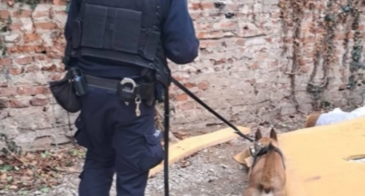 Działania Służb, CIĄG DALSZY DZIAŁAŃ Pradze Północ Kolejny diler zatrzymany! - zdjęcie, fotografia