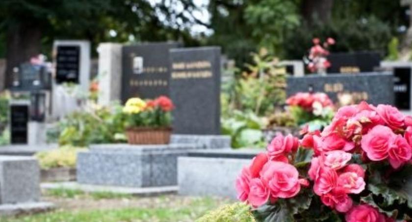 Zdjęcie Anna Sadowska - fotografia