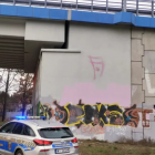 Fotka nr 1 z 2