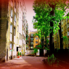 zdjęcie nr 51