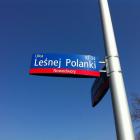 ul. Leśnej Polanki