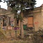 Fotka nr 3 z 13