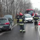 Fotka nr 5 z 8