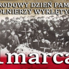 zdjęcie nr 104