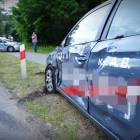 Fotka nr 5 z 8
