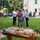 zdjęcie nr 8