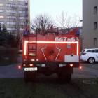 Fotka nr 4 z 6