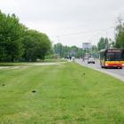 zdjęcie nr 25