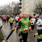 zdjęcie nr 29