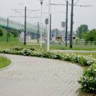 zdjęcie nr 22