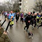 zdjęcie nr 35