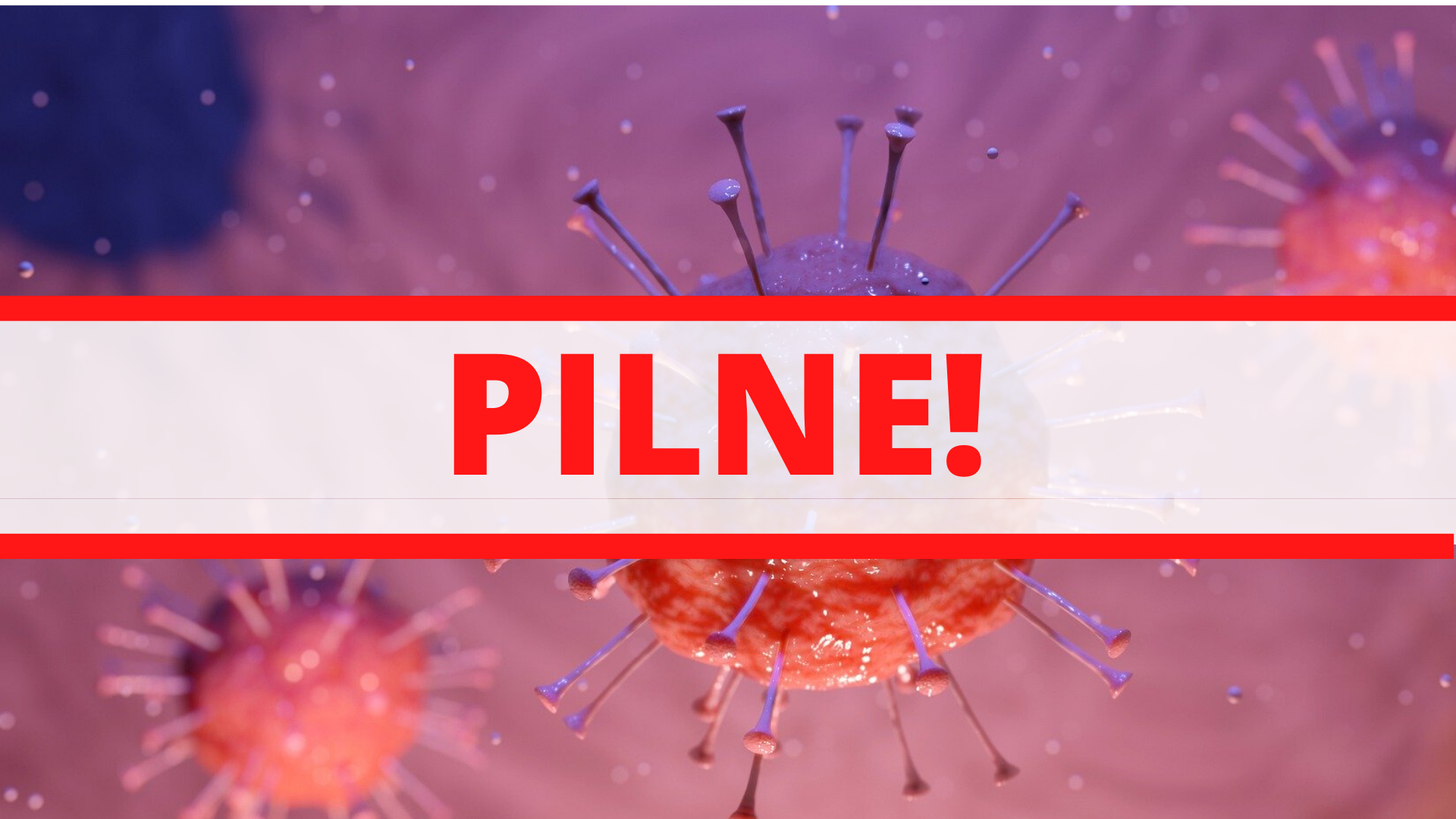 Zdjęcie: Białołęka Warszawa wiadomości Dzielnica Warszawy Białołęka Portal Białołęki iBialoleka