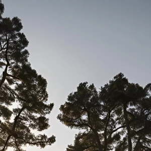 Zdjęcie: Ostrzeżenie Pogoda SYGNALE iBialoleka