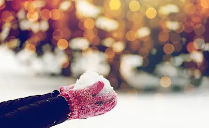 Zdjęcie: Białołęka Warszawa wiadomości Dzielnica Warszawy Białołęka Portal Białołęki iBialoleka