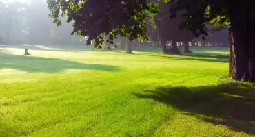 Powstaje Park Żerański. Jak ma wyglądać?