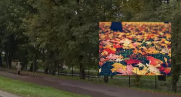 Złota jesień na Białołęce. Czyli najpiękniejsze parki do spacerowania!